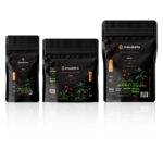 GESHA Ethiopian Chaka Specialty Coffee Beans